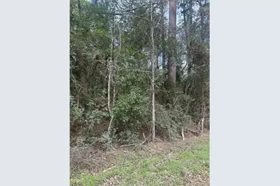 00 Cedar Valley Drive, Coldspring, TX 77331 - Photo 7