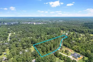 Tbd Stagecoach Rd, Stagecoach, TX 77355 - Photo 9