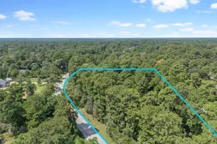 Tbd Stagecoach Rd, Stagecoach, TX 77355 - Photo 13