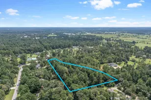 Tbd Stagecoach Rd, Stagecoach, TX 77355 - Photo 5