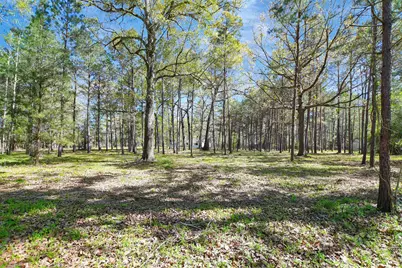 16002 Koenig Lane, Conroe, TX 77384 - Photo 45