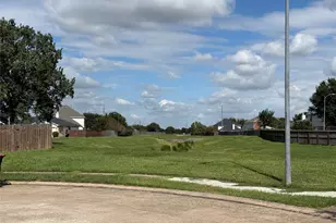 2303 Amber Wheat Ct, Fresno, TX 77545 - Photo 23