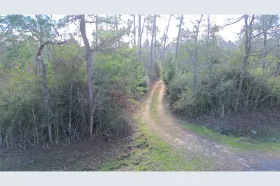 1502 Fm 1309, Lovelady, TX 75851 - Photo 19