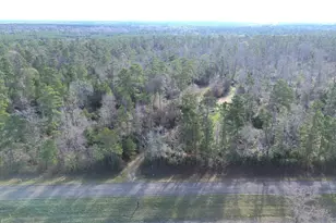 1502 Fm 1309, Lovelady, TX 75851 - Photo 1