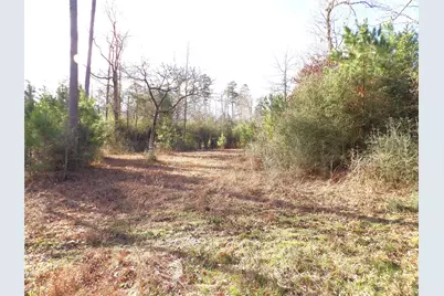 1502 Fm 1309, Lovelady, TX 75851 - Photo 13