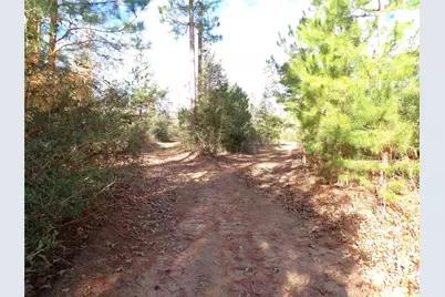 1502 Fm 1309, Lovelady, TX 75851 - Photo 11