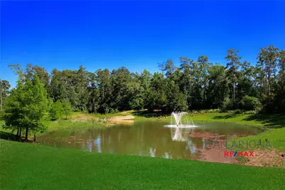 14 Cordella, The Woodlands, TX 77382 - Photo 37