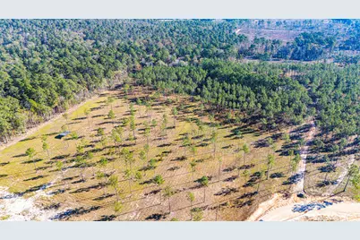 0020 Big Buck Drive, Moscow, TX 75960 - Photo 7