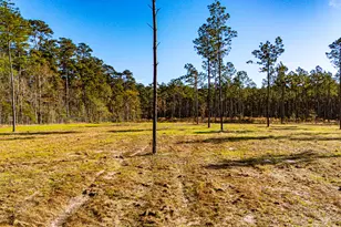 0020 Big Buck Dr, Moscow, TX 75960 - Photo 1