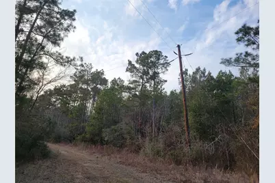 617 John Wesley Hardin Drive, Corrigan, TX 75939 - Photo 3