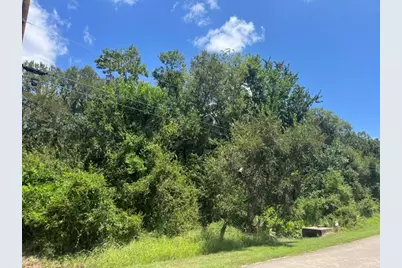 1131 Bronco Trail, Angleton, TX 77515 - Photo 3