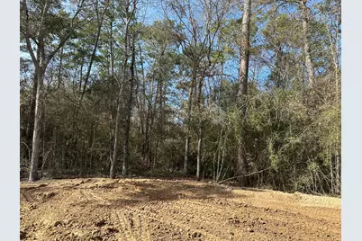 0 Hickory Lane, New Caney, TX 77357 - Photo 3