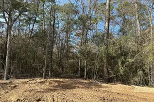 0 Hickory Ln, New Caney, TX 77357 - Photo 3