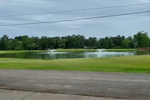 121 Water Oak, Village Mills, TX 77663 - Photo 37