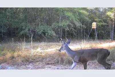 1653 Private Road 8160, Lovelady, TX 75851 - Photo 11