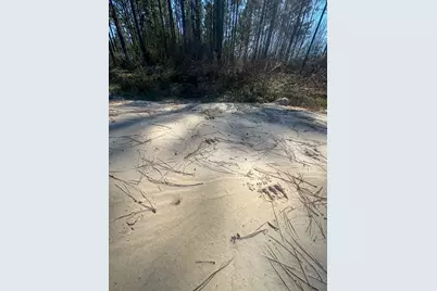 1653 Private Road 8160, Lovelady, TX 75851 - Photo 5