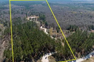 1653 Private Rd 8160, Lovelady, TX 75851 - Photo 1