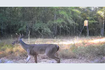 1653 Private Road 8160, Lovelady, TX 75851 - Photo 15