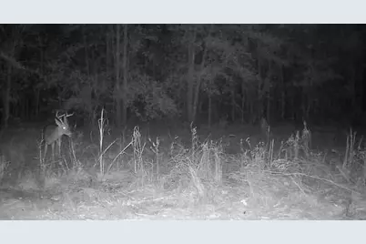 1653 Private Road 8160, Lovelady, TX 75851 - Photo 13