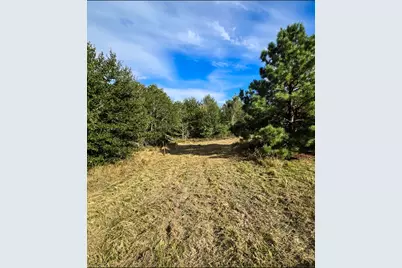 1653 Private Road 8160, Lovelady, TX 75851 - Photo 9