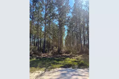 1653 Private Road 8160, Lovelady, TX 75851 - Photo 7