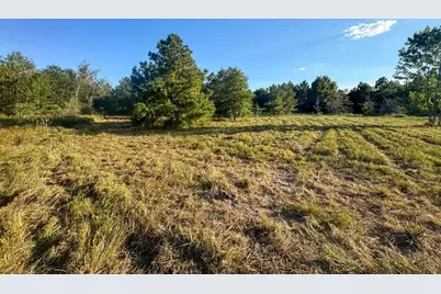 1653 Private Road 8160, Lovelady, TX 75851 - Photo 17