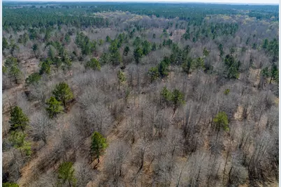 1653 Private Road 8160, Lovelady, TX 75851 - Photo 23