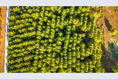 Lot 9 Nursery Road, Livingston, TX 77351 - Photo 25