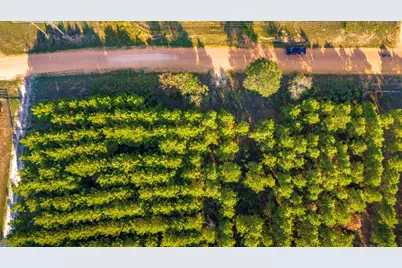 Lot 9 Nursery Road, Livingston, TX 77351 - Photo 17