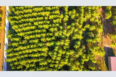 Lot 9 Nursery Road, Livingston, TX 77351 - Photo 21