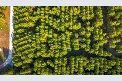 Lot 9 Nursery Road, Livingston, TX 77351 - Photo 27