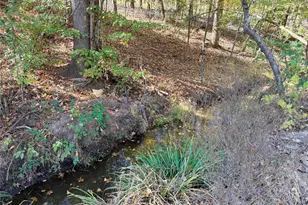 171 County Rd 421, Bronson, TX 75930 - Photo 47