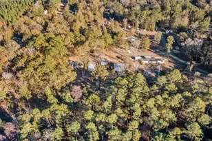 171 County Rd 421, Bronson, TX 75930 - Photo 11