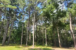 797 Lonestar Rd, Huntsville, TX 77340 - Photo 31