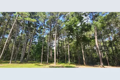 797 Lonestar Road, Huntsville, TX 77340 - Photo 31