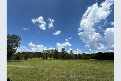 Tbd N County Road 4050  Tract 1 Road, Lovelady, TX 75851 - Photo 3