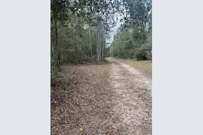 Tbd Fire Tower, Conroe, TX 77306 - Photo 9