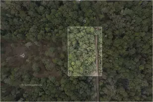 Tbd Fire Tower, Conroe, TX 77306 - Photo 3