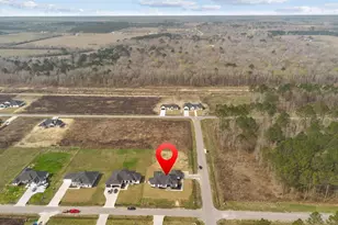 3137 Rd 66125, Dayton, TX 77535 - Photo 41