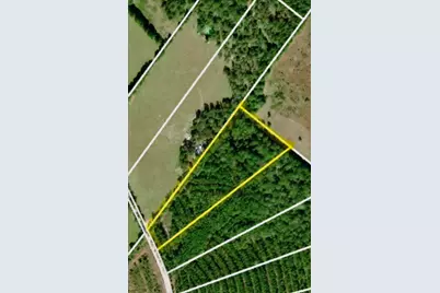 Tbd Kickapoo Road, Groveton, TX 75845 - Photo 1