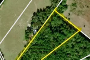 Tbd Kickapoo Rd, Groveton, TX 75845 - Photo 1