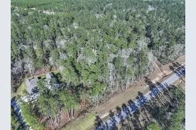 15268 Forest Grove Drive, Willis, TX 77378 - Photo 7