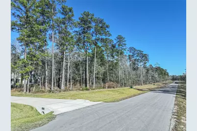 15268 Forest Grove Drive, Willis, TX 77378 - Photo 3