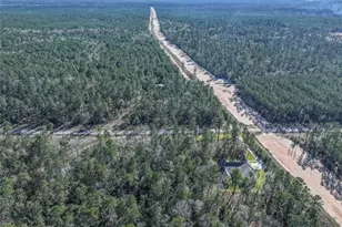 15268 Frst Grv Dr, Willis, TX 77378 - Photo 9