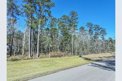 15268 Forest Grove Drive, Willis, TX 77378 - Photo 13