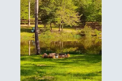 250 Bobby Baer Road, Livingston, TX 77351 - Photo 3