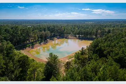 7737 Dog Wood Acres Drive, Montgomery, TX 77316 - Photo 7