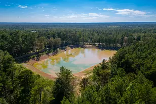 7737 Dog Wood Acres Dr, Montgomery, TX 77316 - Photo 7