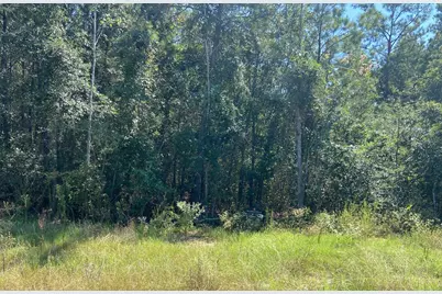 7737 Dog Wood Acres Drive, Montgomery, TX 77316 - Photo 13