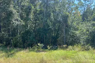 7737 Dog Wood Acres Dr, Montgomery, TX 77316 - Photo 13